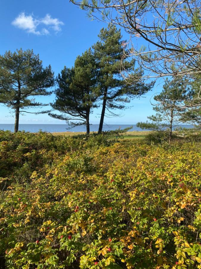 Altes Pastorenhus - Land Und Meer Osterbruch Extérieur photo