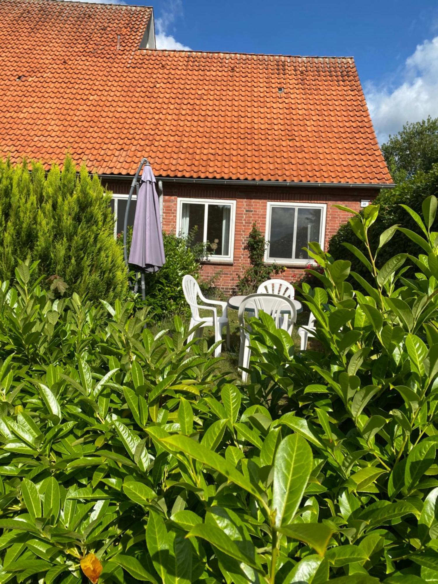 Altes Pastorenhus - Land Und Meer Osterbruch Extérieur photo