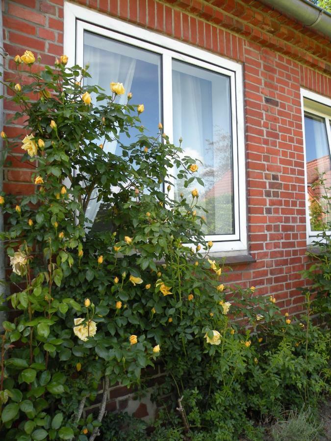 Altes Pastorenhus - Land Und Meer Osterbruch Extérieur photo